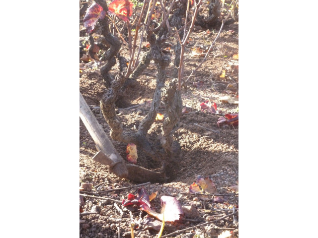 Mon travail en automne