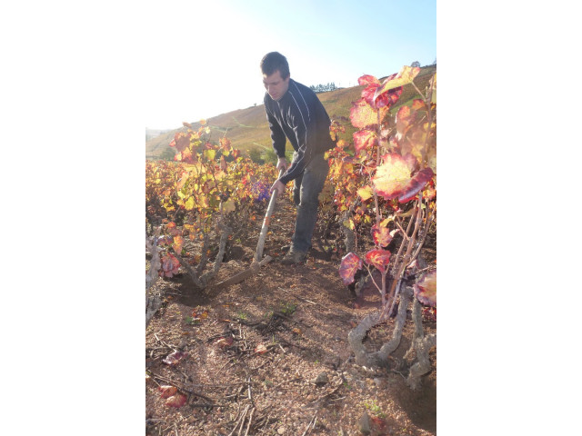 Mon travail en automne