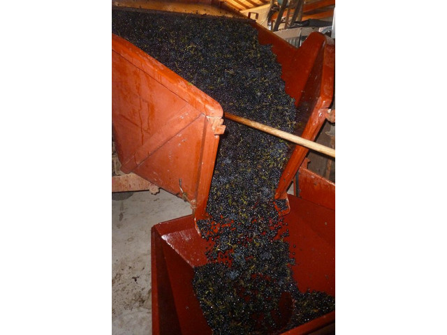 Vendanges 2014