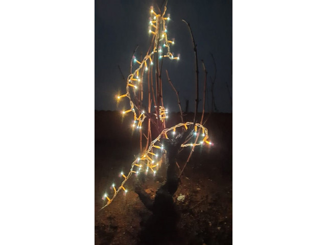 La fête des lumières s'invite dans les vignes !