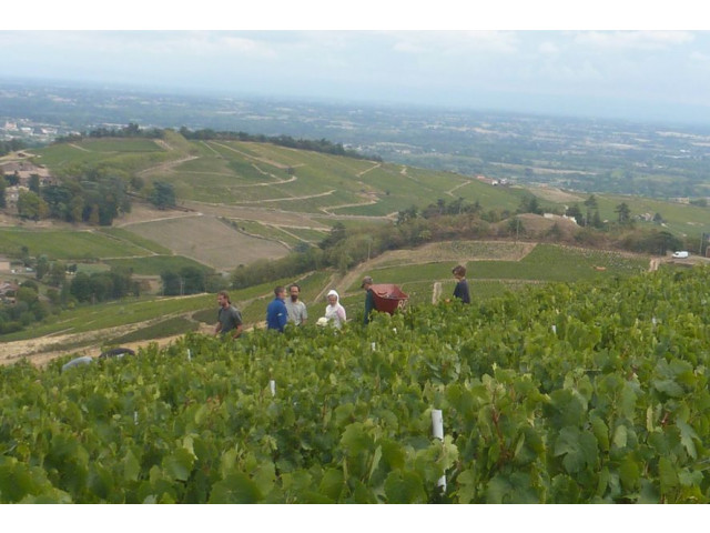Notre beau paysage Beaujolais
