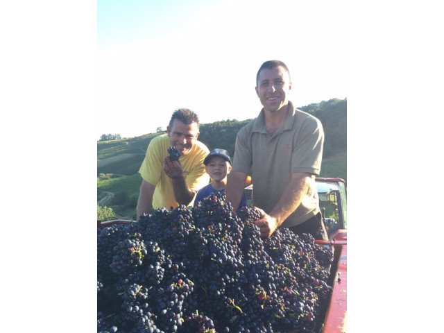 Vendanges 2016