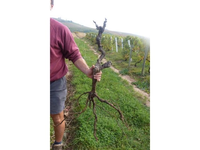 Mon travail en automne