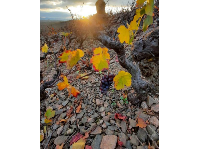 Couleurs d'Automne !... 