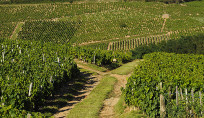 La Chapelle de la Madone vu du domaine