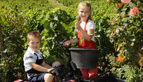 De futurs vignerons