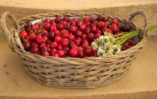 Panier gourmand