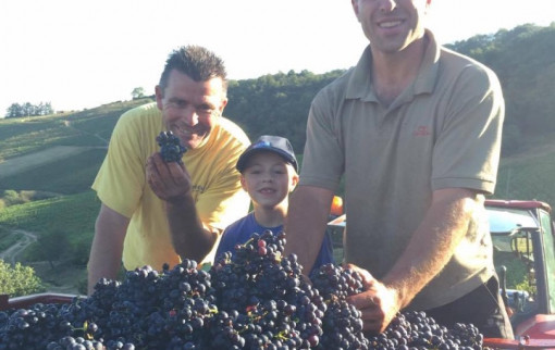 Vendanges 2016