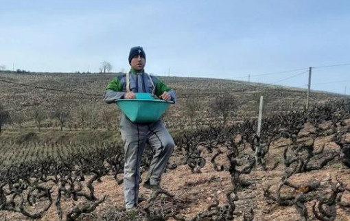 Rien ne vaut mes bras et mes jambes pour donner à manger à mes vignes. En plus avec le semoir de mon