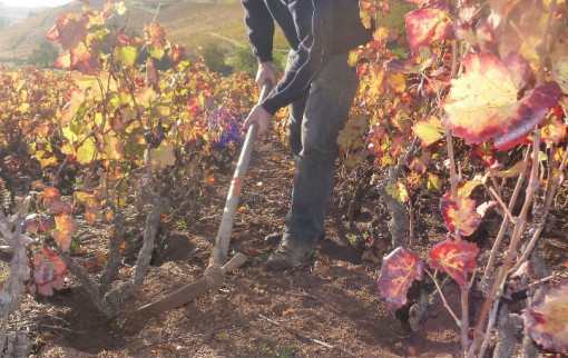 Mon travail en automne