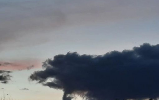 Quand la nature animale se dessine dans le ciel !... 